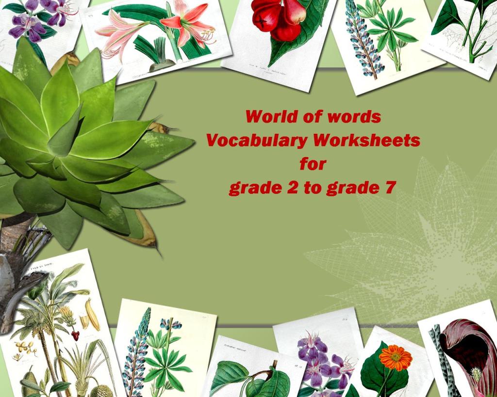 education vocabulary worksheets pdf